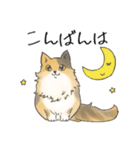 日常使いの長毛猫（個別スタンプ：27）