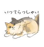 日常使いの長毛猫（個別スタンプ：29）