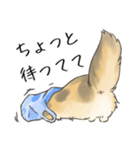 日常使いの長毛猫（個別スタンプ：31）