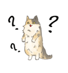 日常使いの長毛猫（個別スタンプ：33）