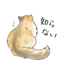 日常使いの長毛猫（個別スタンプ：34）