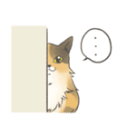 日常使いの長毛猫（個別スタンプ：35）