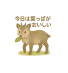 白馬村のニホンカモシカさんファミリー2025（個別スタンプ：7）