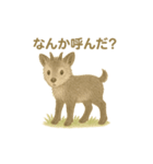 白馬村のニホンカモシカさんファミリー2025（個別スタンプ：13）