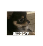 ラブちゃんのお は な し（個別スタンプ：5）