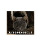 ラブちゃんのお は な し（個別スタンプ：6）