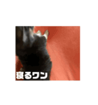 ラブちゃんのお は な し（個別スタンプ：8）