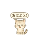 おしゃれ子猫のやさしいスタンプ（個別スタンプ：2）