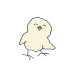 ひよこてゃん2（個別スタンプ：3）