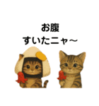 可愛い～ワン＆ニャン（個別スタンプ：14）