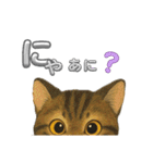 可愛い～ワン＆ニャン（個別スタンプ：16）