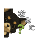 可愛い～ワン＆ニャン（個別スタンプ：17）