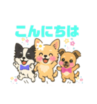 仲良しチワワんずのhappyスタンプ（個別スタンプ：3）