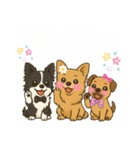 仲良しチワワんずのhappyスタンプ（個別スタンプ：5）