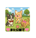 仲良しチワワんずのhappyスタンプ（個別スタンプ：8）