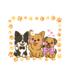 仲良しチワワんずのhappyスタンプ（個別スタンプ：12）