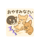 仲良しチワワんずのhappyスタンプ（個別スタンプ：13）