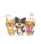 仲良しチワワんずのhappyスタンプ（個別スタンプ：17）