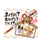 仲良しチワワんずのhappyスタンプ（個別スタンプ：23）
