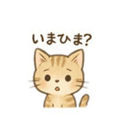 子猫の気持ち2（個別スタンプ：3）