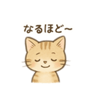子猫の気持ち2（個別スタンプ：4）