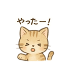 子猫の気持ち2（個別スタンプ：6）