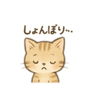 子猫の気持ち2（個別スタンプ：8）