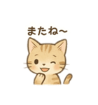 子猫の気持ち2（個別スタンプ：16）