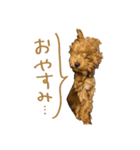 友達ん家のワンコたち（個別スタンプ：2）