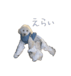 友達ん家のワンコたち（個別スタンプ：9）