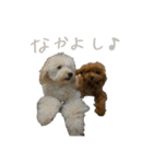 友達ん家のワンコたち（個別スタンプ：12）