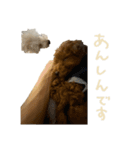 友達ん家のワンコたち（個別スタンプ：13）