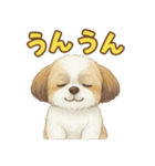 シーズーの使いやす言葉スタンプ（個別スタンプ：2）