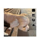 頑張れむさちゃん2（個別スタンプ：1）