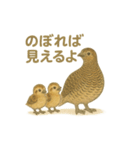 大町市のライチョウさんファミリー2025（個別スタンプ：6）