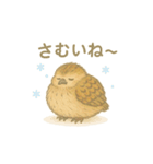 大町市のライチョウさんファミリー2025（個別スタンプ：10）