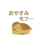大町市のライチョウさんファミリー2025（個別スタンプ：12）