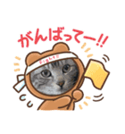 三兄弟と愉快な保護猫達シリーズ②（個別スタンプ：3）