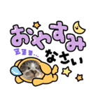 三兄弟と愉快な保護猫達シリーズ②（個別スタンプ：7）