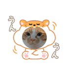 三兄弟と愉快な保護猫達シリーズ②（個別スタンプ：15）