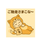 あやちゃんこな〜日和（個別スタンプ：8）