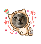 我が家の猫達（保護猫3兄妹）（個別スタンプ：9）