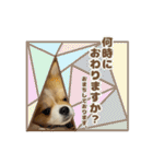 ポメラニアンのおこめくんの日常3（個別スタンプ：9）