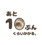 ポメラニアンのおこめくんの日常3（個別スタンプ：12）