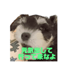 ノープロブレムなのです（個別スタンプ：5）
