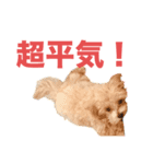 ノープロブレムなのです（個別スタンプ：8）