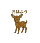 奈良公園のシカさんファミリー2025（個別スタンプ：5）