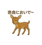 奈良公園のシカさんファミリー2025（個別スタンプ：8）