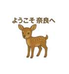 奈良公園のシカさんファミリー2025（個別スタンプ：11）
