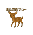 奈良公園のシカさんファミリー2025（個別スタンプ：12）